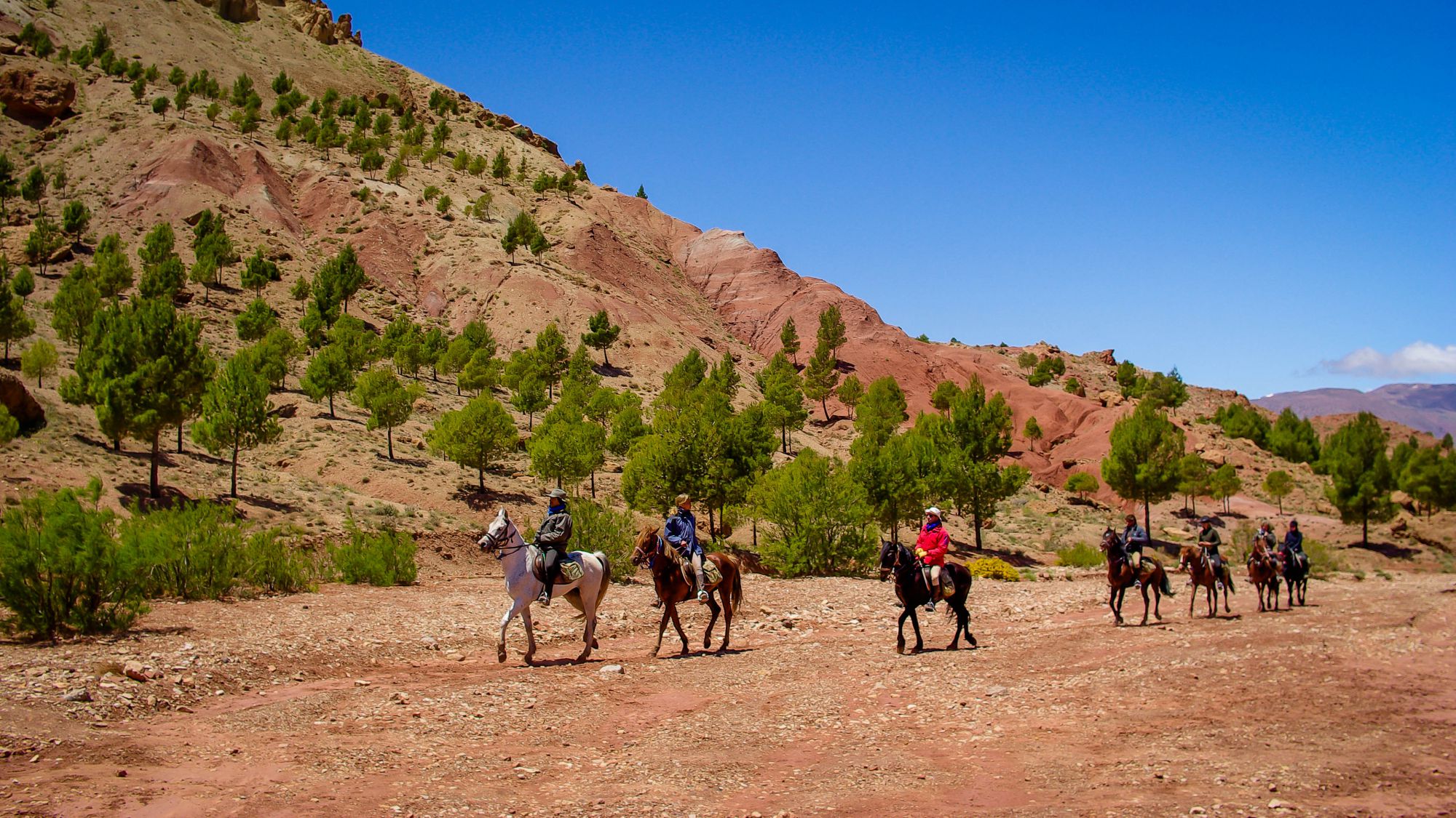 Horse Riding by Sport Travel