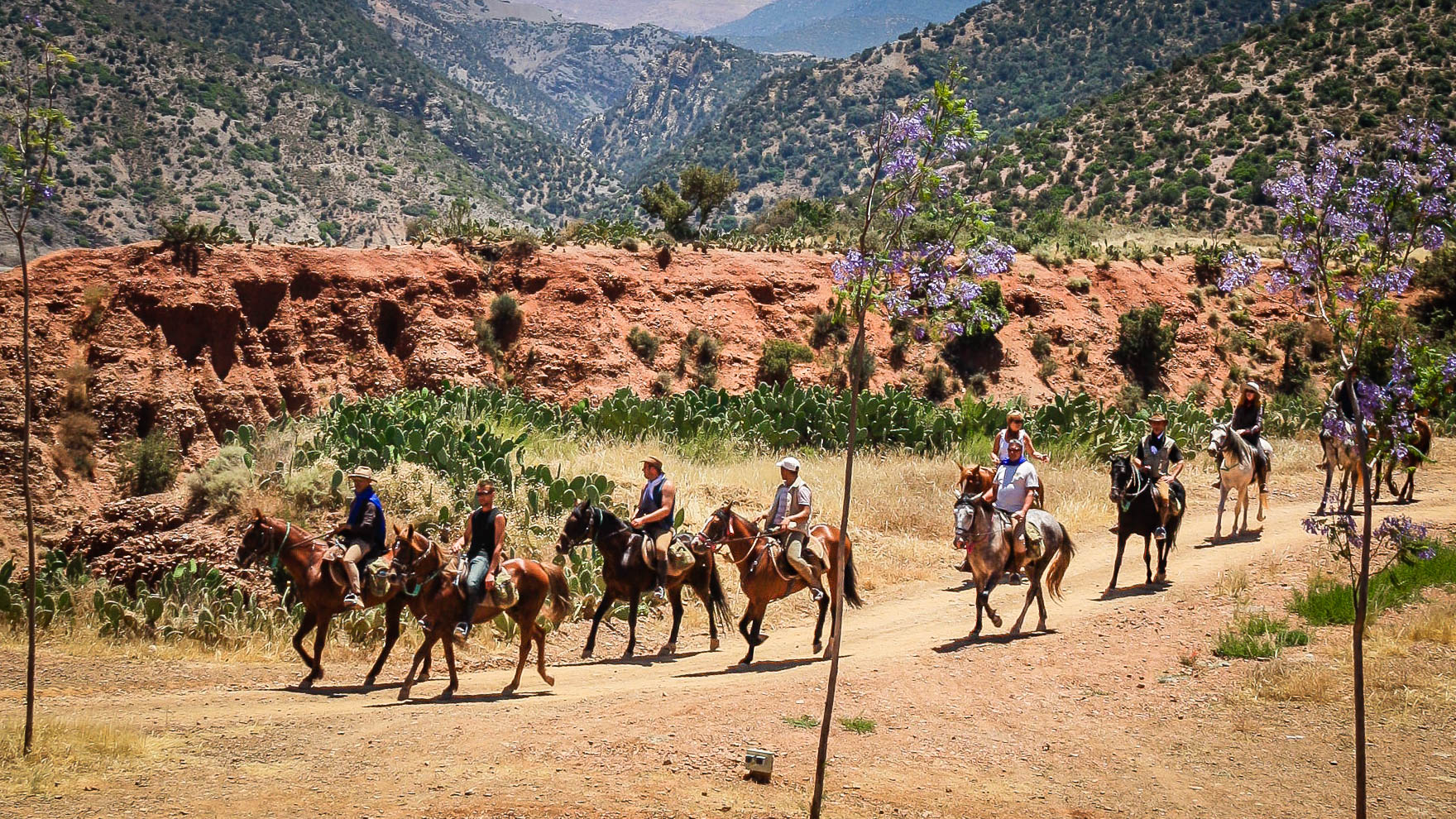 Terres d'Amanar